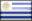 Drapeau Uruguayen