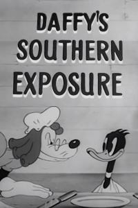 Daffy's Southern Exposure / Daffy's Southern Exposure