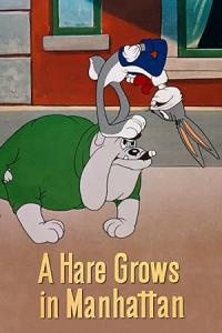 Looney.Tunes.A.Hare.Grows.In.Manhattan.1947.720p.BluRay.x264-DEiMOS