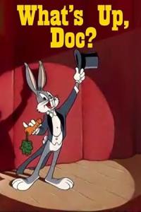 What's Up Doc? / What's Up Doc?