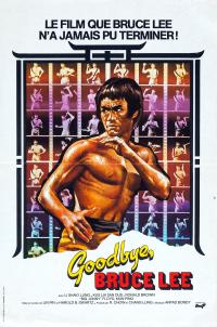 Goodbye.Bruce.Lee.His.Last.Game.Of.Death.1975.DUBBED.1080P.BLURAY.x264-WATCHABLE