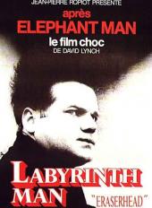 Labyrinth Man / Eraserhead.1977.1080p.BluRay.X264-AMIABLE