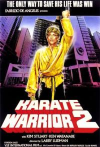 Karaté Warrior 2