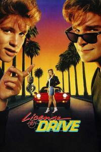 Plein pot / Licence.To.Drive.1988.1080p.BluRay.x264-HD4U