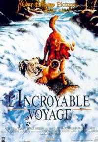 1993 / L'Incroyable Voyage