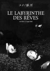 Labyrinth.Of.Dreams.1997.DVDRip.x264-SMz