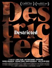 Destricted / Destricted.2006.DVDRip.XviD-AsiSter