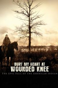 Bury.My.Heart.At.Wounded.Knee.2007.MULTI.COMPLETE.BLURAY-PENTAGON