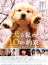 10.Promises.To.My.Dog.2008.DUAL.AUDiO.DVDRip.XviD.AC3.INT-MaydAY
