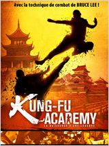 Kung-Fu Academy / Kung-Fu.Academy.2010.MULTi.1080p.BLuRAy.DTS.HDMA.x264-ATeR