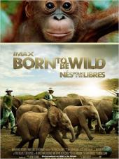 Born.To.Be.Wild.2011.LIMITED.DOCU.DVDRip.XviD-BeStDivX