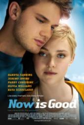 Now.Is.Good.2012.LIMITED.DVDRip.XviD-MARGiN