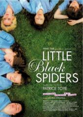 Little.Black.Spiders.2012.DVDRip.XviD-EXViD