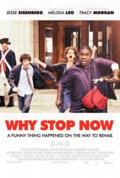 Why.Stop.Now.2012.HDRIP.XVID-HS