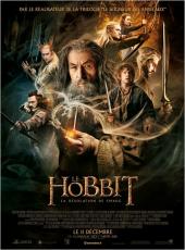 2013 / Le Hobbit : La Désolation de Smaug