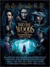 Into the Woods / Into.the.Woods.2014.1080p.BluRay.x264-YIFY