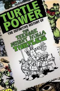 2014 / Turtle Power: The Definitive History of the Teenage Mutant Ninja Turtles
