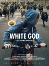 White God / White.God.2014.1080p.BluRay.x264-YIFY