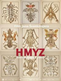 Insect / Hmyz