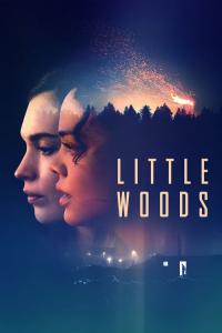 Little.Woods.2018.720p.WEB.H264-iNTENSO