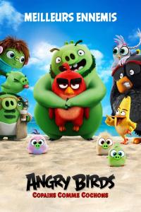 Angry Birds : Copains comme cochons / The.Angry.Birds.Movie.2.2019.720p.BluRay.x264-GECKOS