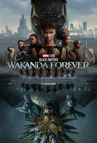 Black Panther: Wakanda Forever / Black.Panther.Wakanda.Forever.2022.IMAX.1080p.WEBRip.x264-RARBG