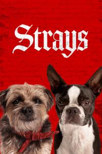 Backstreet Dogs / Strays