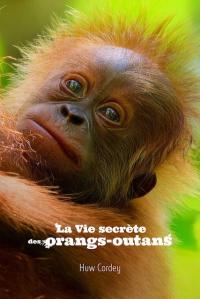 La Vie Secrète des Orangs-Outans