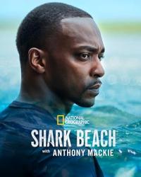 Shark.Beach.With.Anthony.Mackie.2024.HDR.2160p.WEB.H265-EDITH