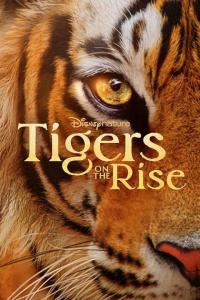 Tigers.On.The.Rise.2024.1080p.WEBRip.x264.AAC5.1-YTS